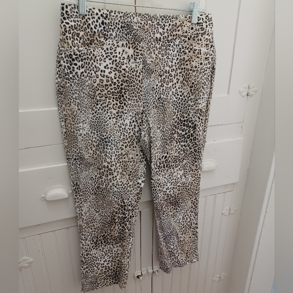 Chico's Brigitte Vent Ankle Pant.